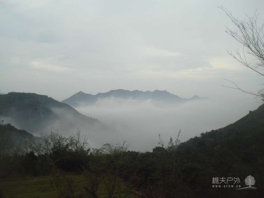 nEO_IMG_DSC08775.jpg
