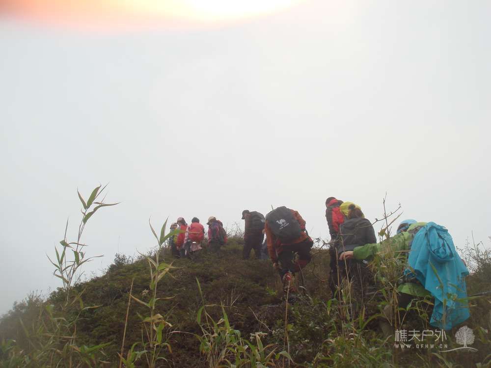 nEO_IMG_DSC08828.jpg