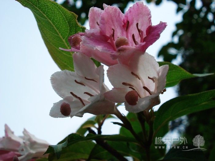 nEO_IMG_DSC05187.jpg
