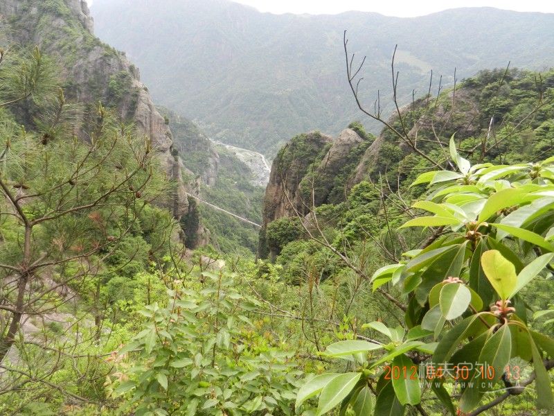 DSCN1291.jpg