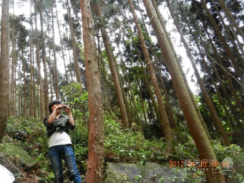DSCN1312.jpg