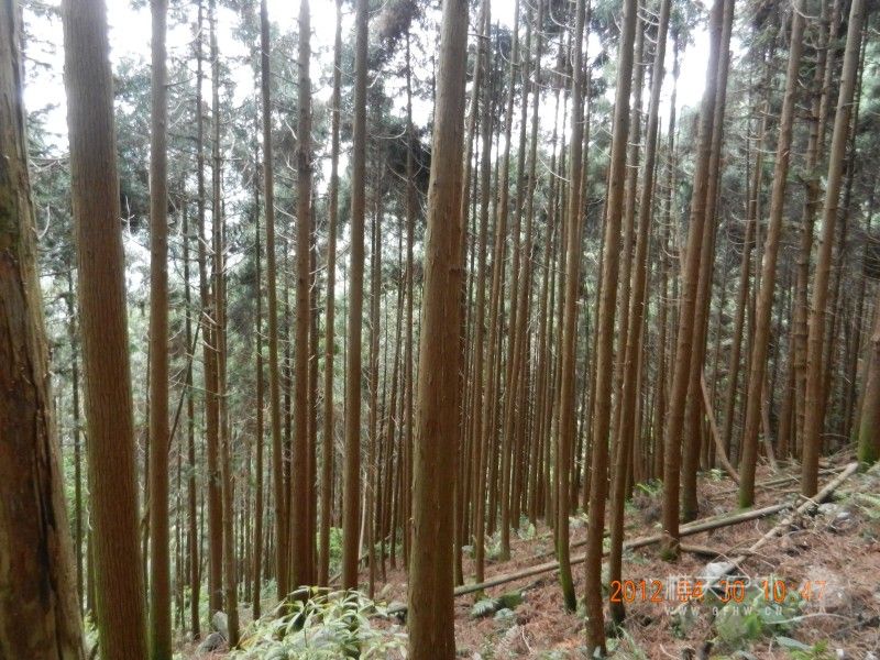 DSCN1318.jpg