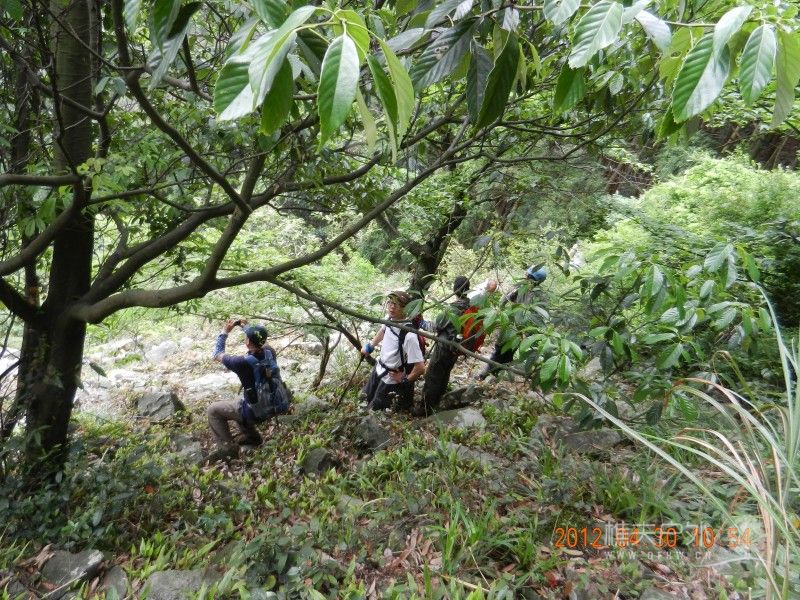 DSCN1327.jpg