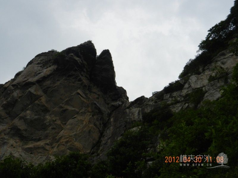 DSCN1336.jpg