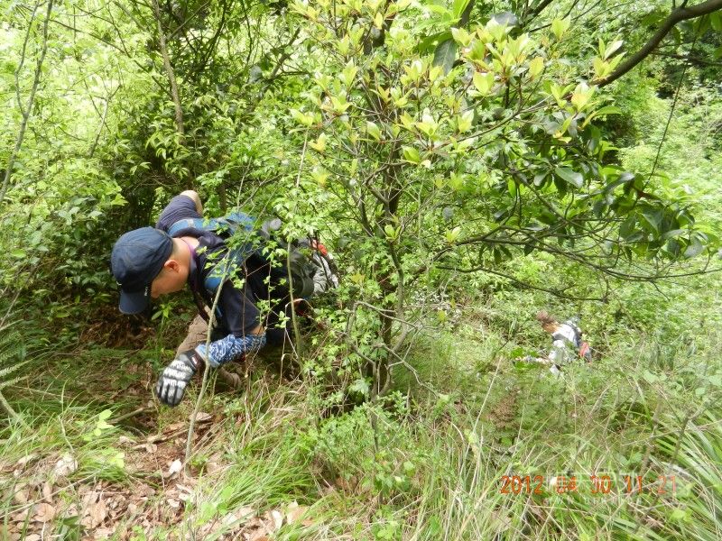 DSCN1339.jpg