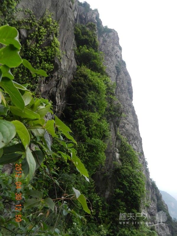 DSCN1369.jpg