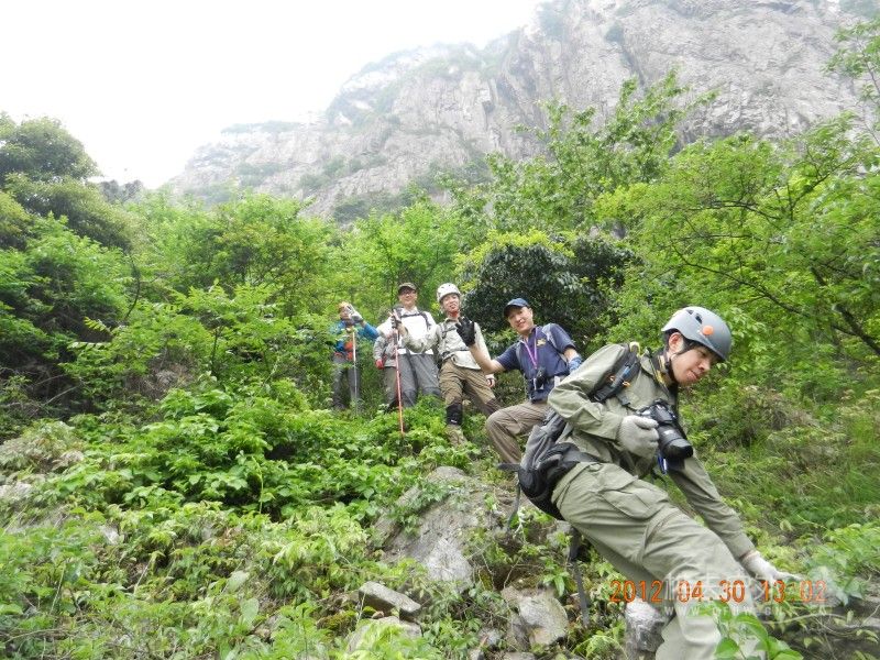 DSCN1376.jpg