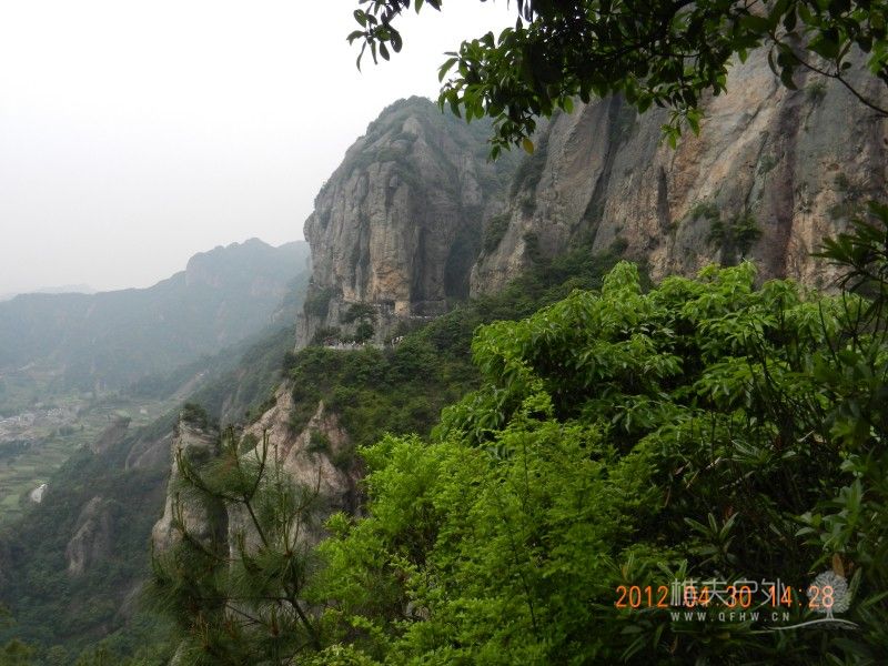 DSCN1454.jpg