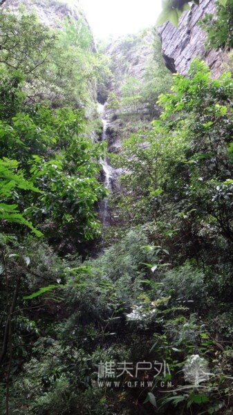 DSC00209.jpg