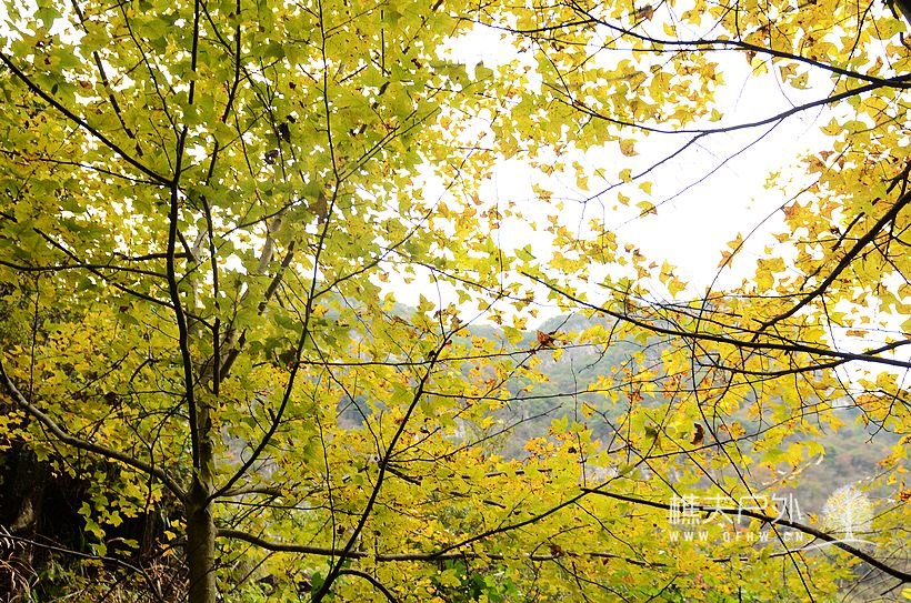 DSC_0443.jpg