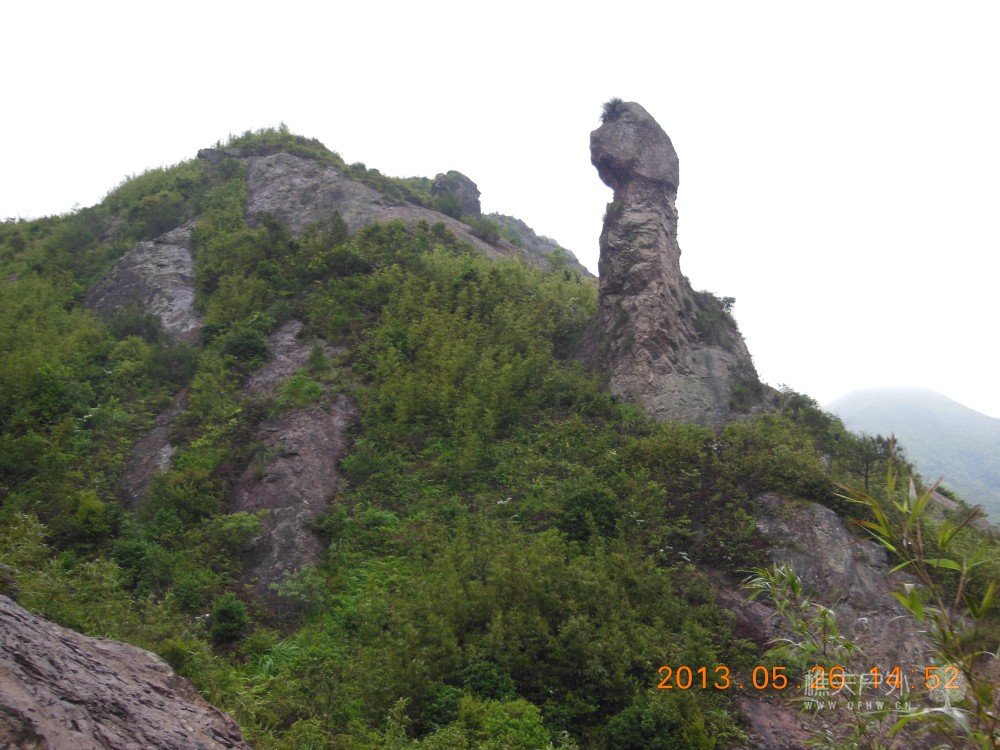 DSCN0347.jpg