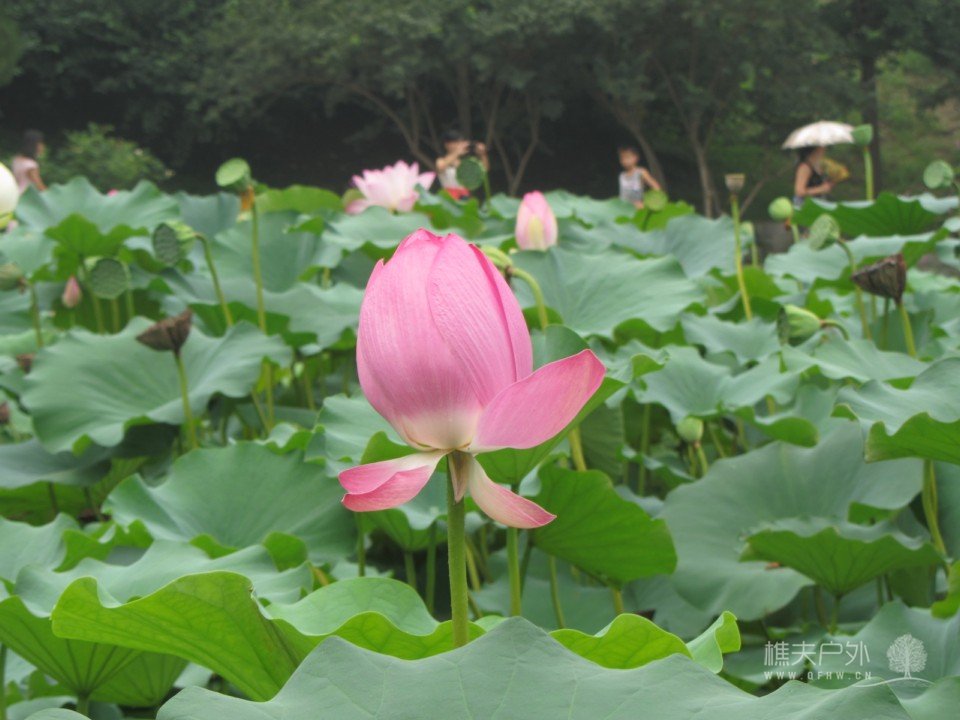 照片 193.jpg