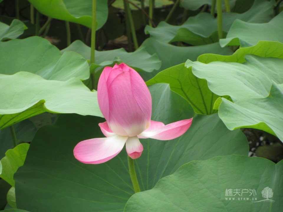 照片 198.jpg