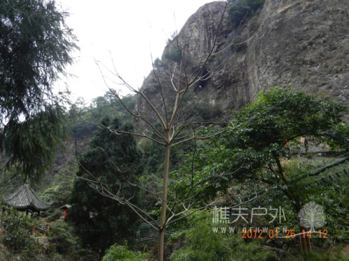 DSCN9318.JPG