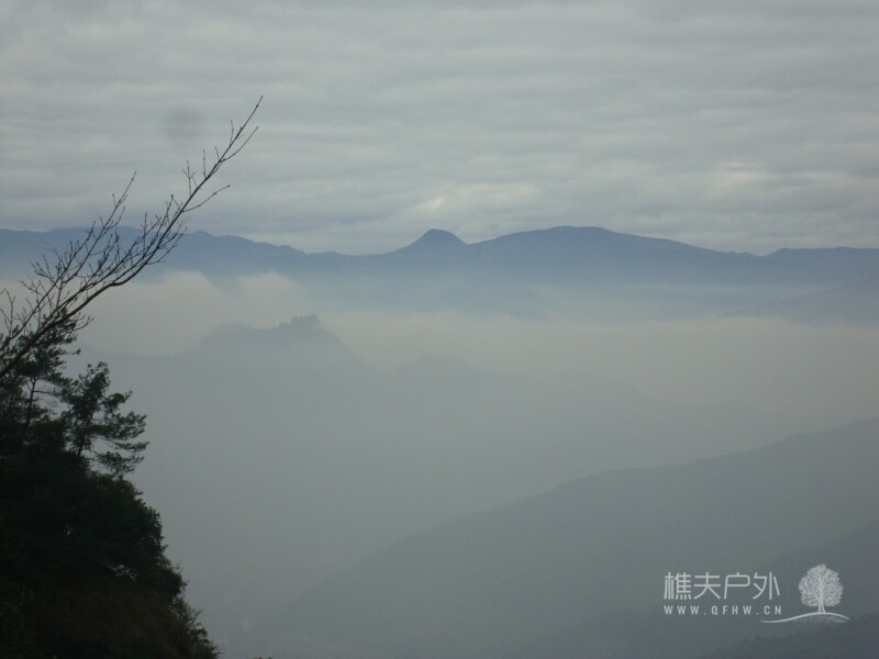 DSC04523.jpg