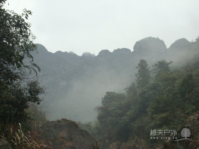 DSC04525.jpg