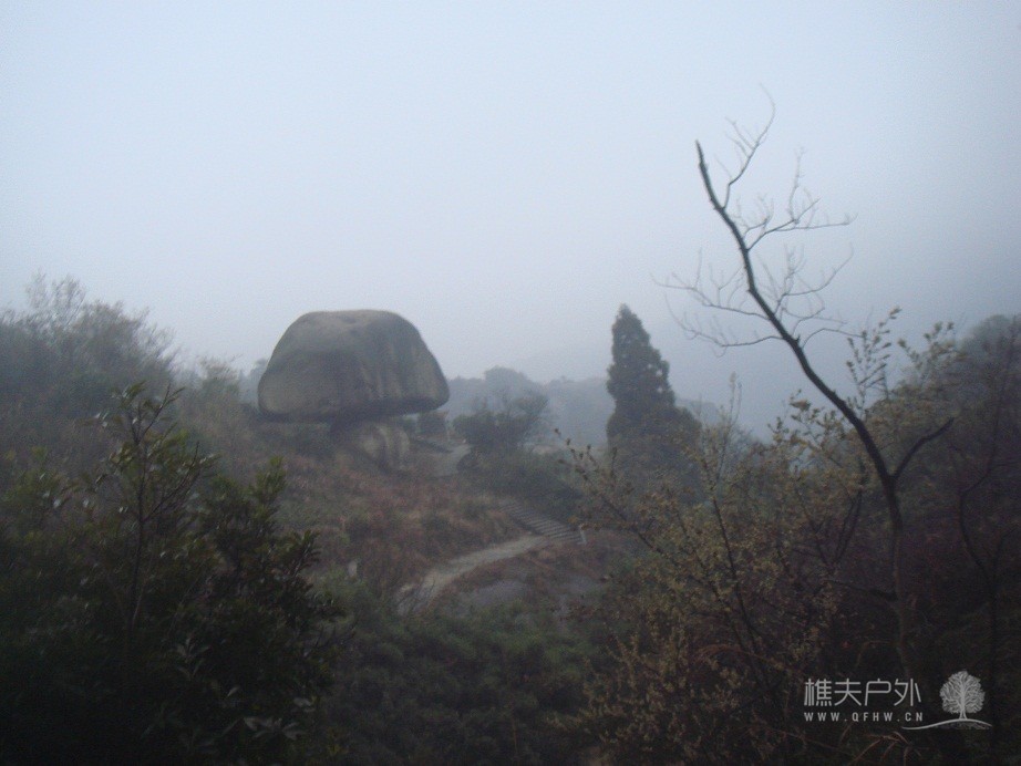 DSC08260.JPG