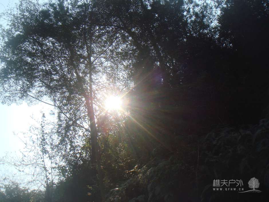 赏梅永嘉行，春光媚无边。