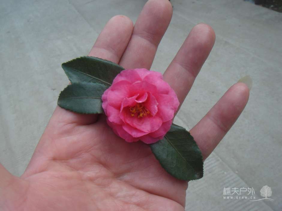 nEO_IMG_DSC08423.jpg