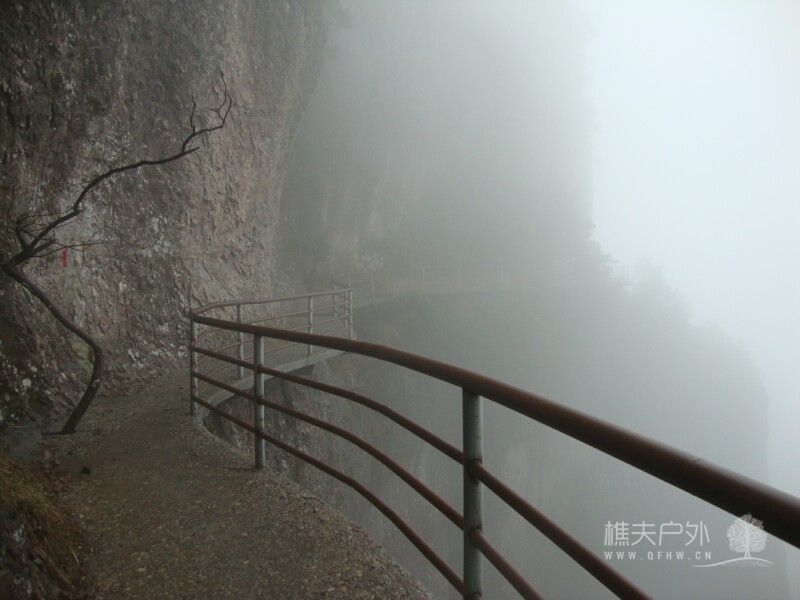 DSC05290.jpg