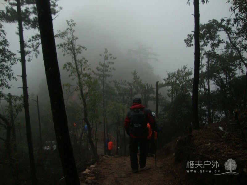 DSC05322.jpg