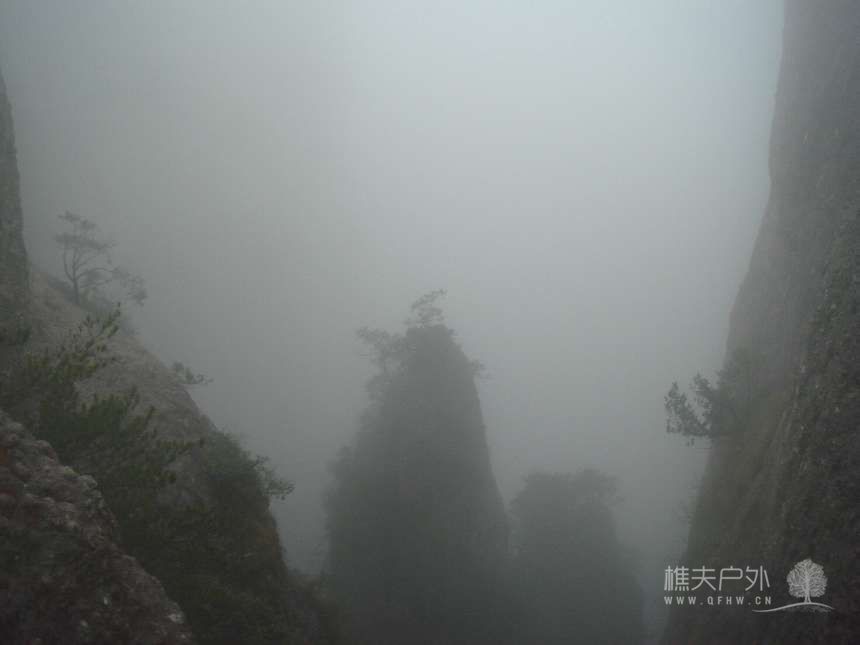 nEO_IMG_DSC08533.jpg