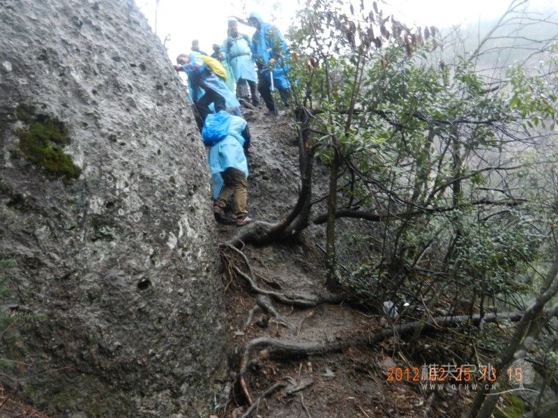 DSCN9657.jpg