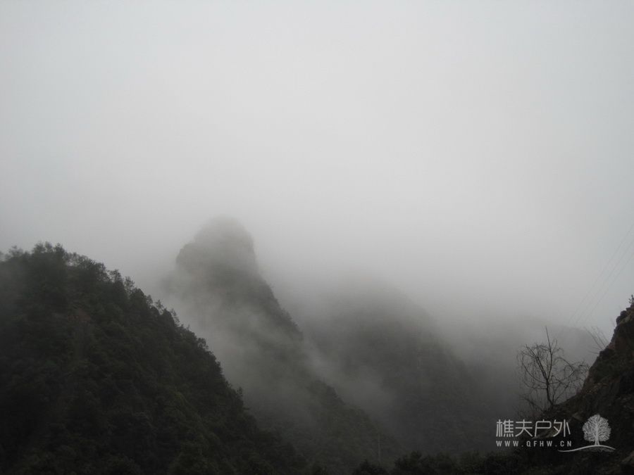 IMG_4197_调整大小.JPG