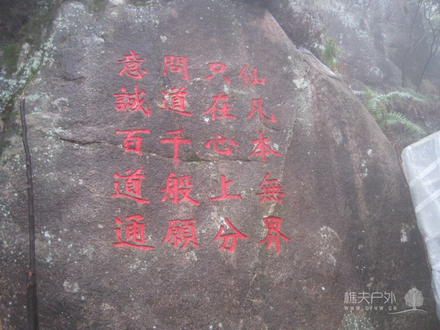 IMG_4398_调整大小.JPG