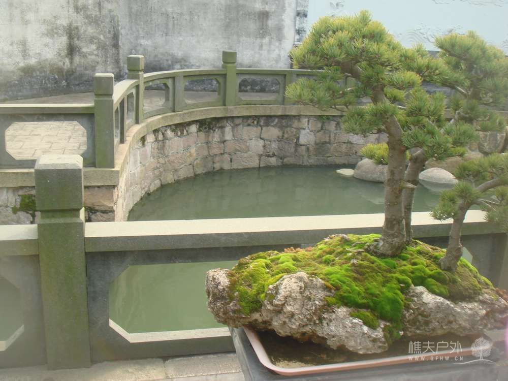 nEO_IMG_DSC08739.jpg