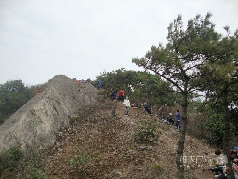 DSC05910.jpg