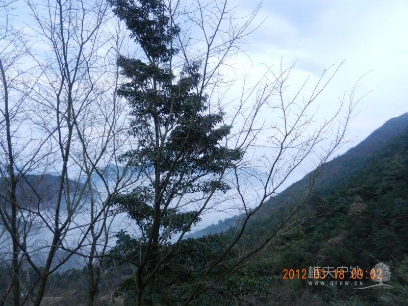 DSCN0031.jpg