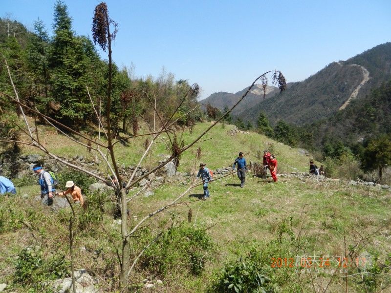 DSCN0230.jpg
