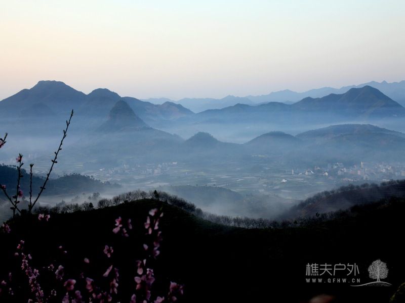 IMG_5260.jpg