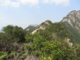 IMG_0922.jpg