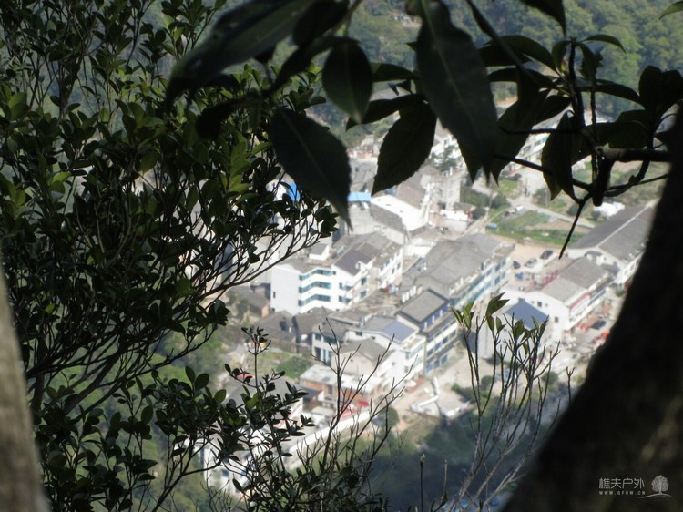 IMG_1146.jpg