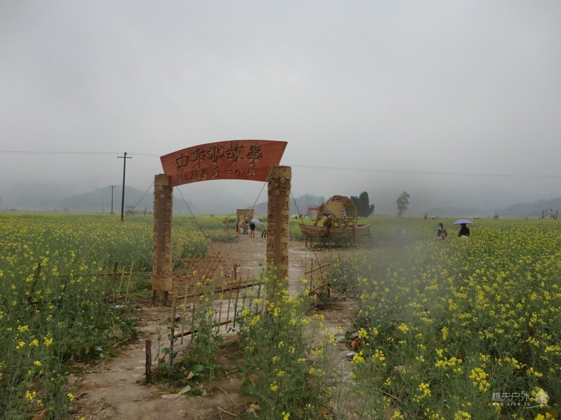 DSC00242.jpg