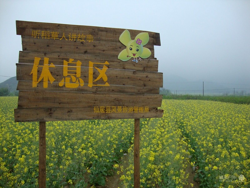 DSC06244.jpg