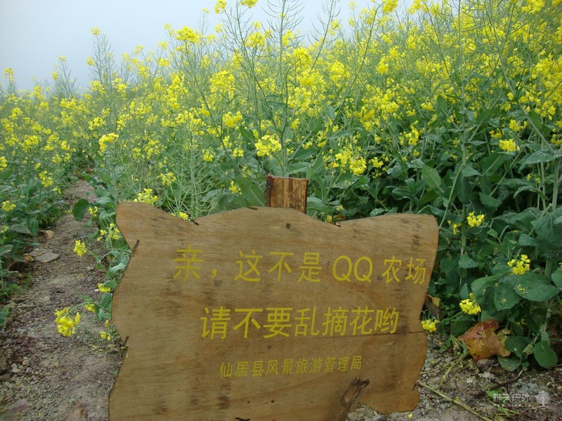 DSC06250.jpg