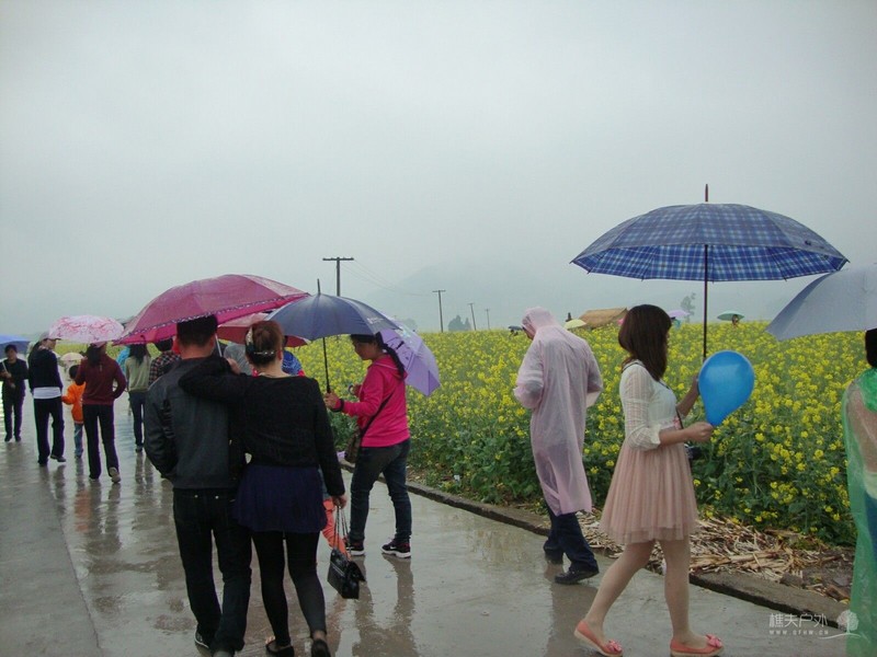 DSC06262.jpg