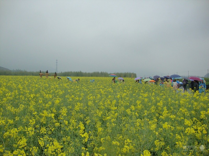 DSC06264.jpg
