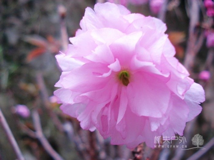 nEO_IMG_DSC04680.jpg
