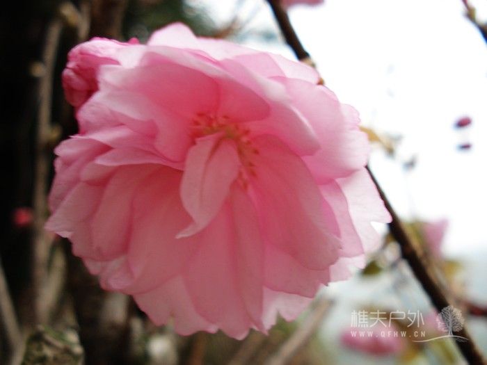 nEO_IMG_DSC04685.jpg
