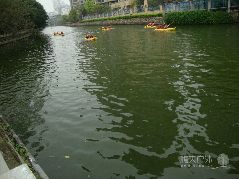 DSC06315.jpg