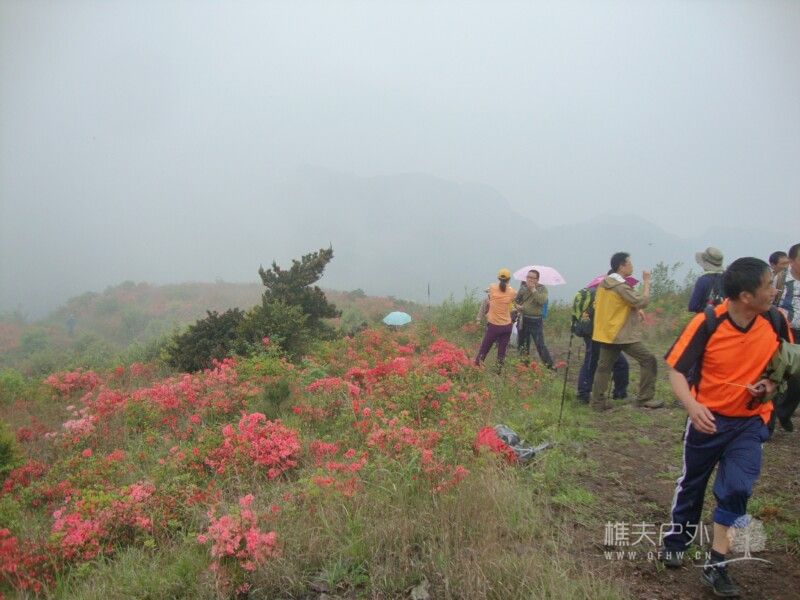 DSC06678.jpg
