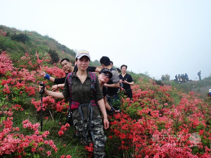 nEO_IMG_DSC04836.jpg
