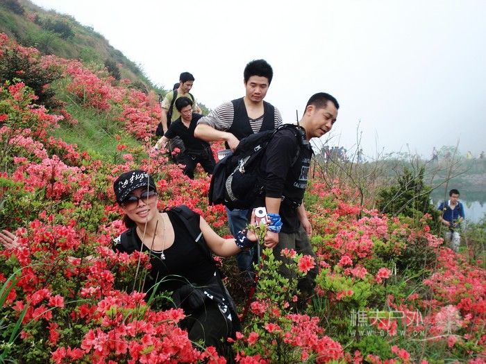 nEO_IMG_DSC04839.jpg