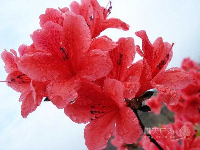 nEO_IMG_DSC04879.jpg