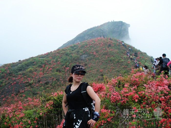 nEO_IMG_DSC04896.jpg