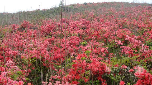 DSC05677.jpg